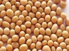 we-manufacture-and-sell-soyabean-oil-corn-oil-groundnut-oil-and-other-oils-for-sale
